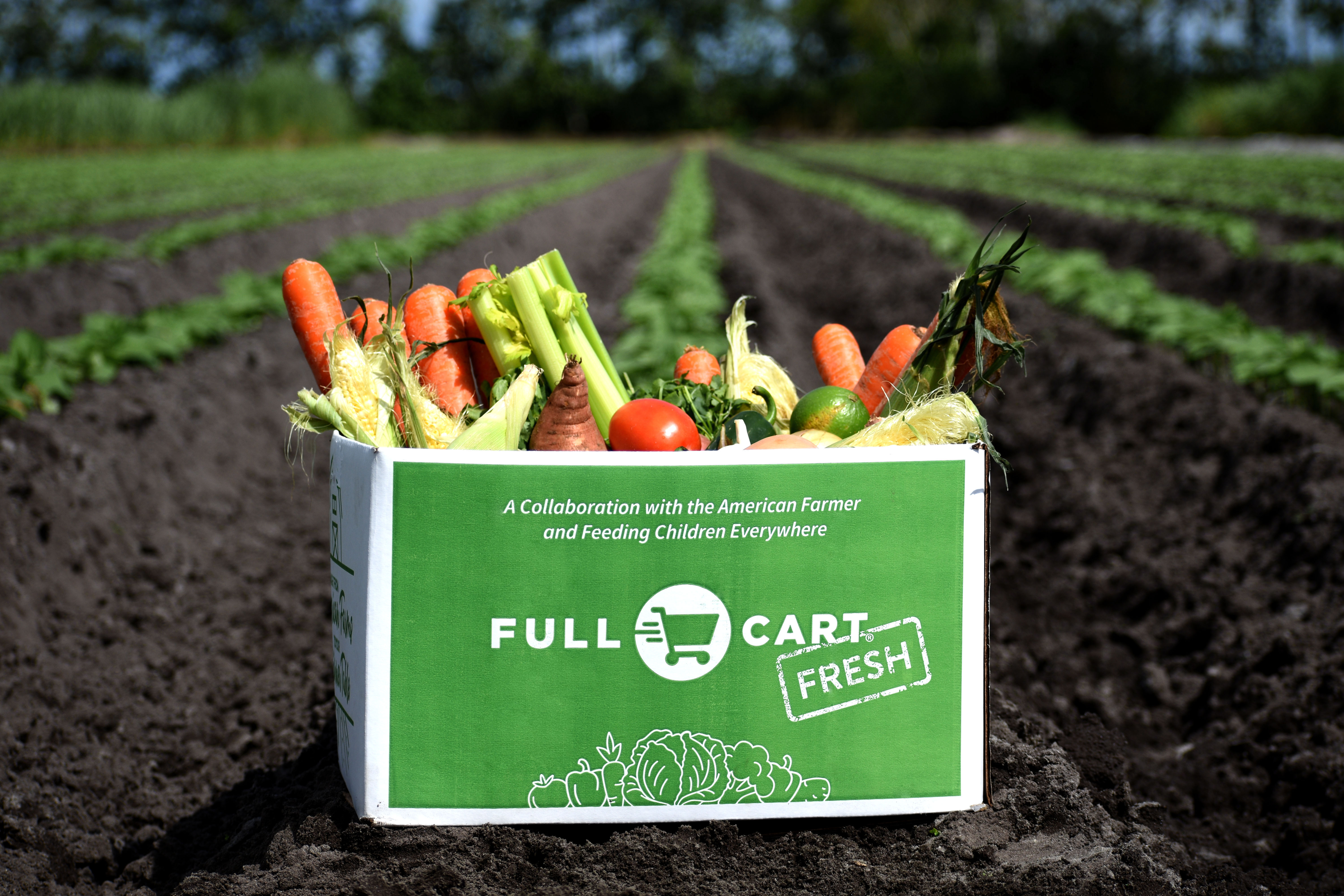 Full Cart Menu